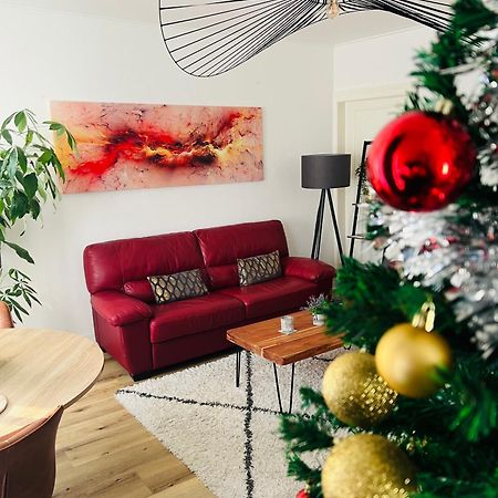 Appartement Cosy Et Lumineux Avec Parking Gratuit Colmar Kültér fotó