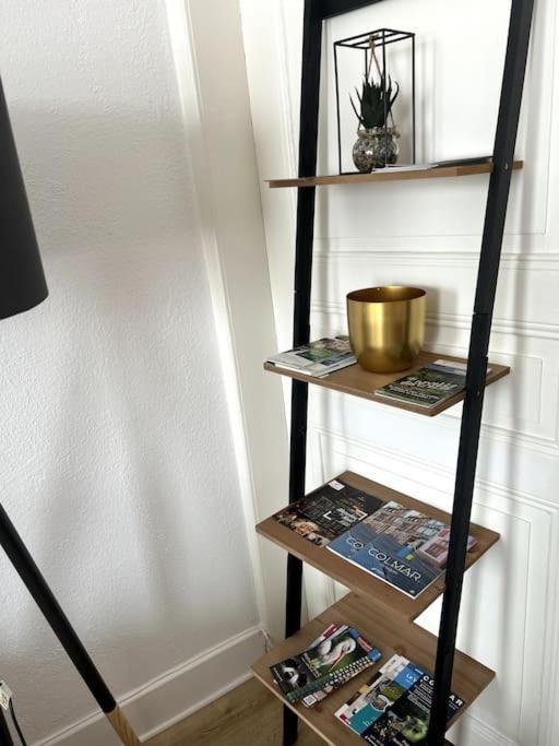 Appartement Cosy Et Lumineux Avec Parking Gratuit Colmar Kültér fotó