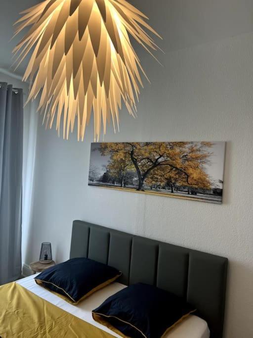 Appartement Cosy Et Lumineux Avec Parking Gratuit Colmar Kültér fotó